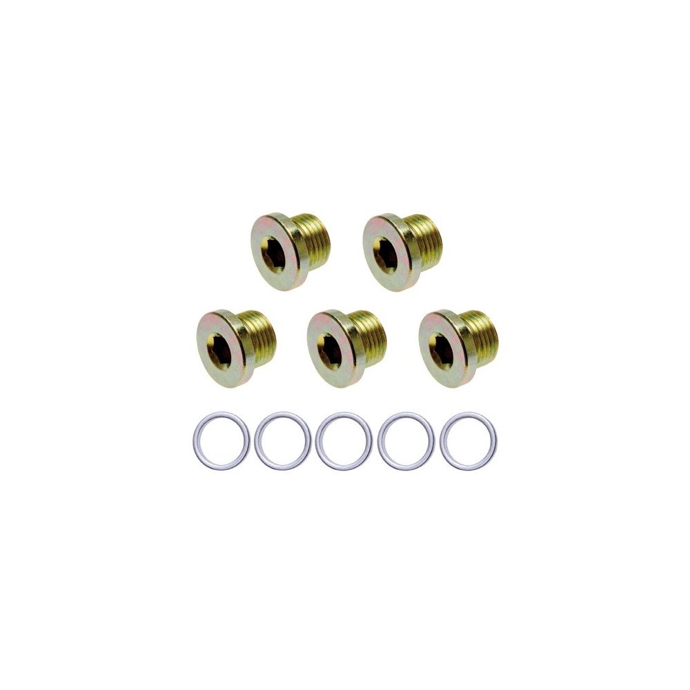 Juego de 5 tapones y arandelas de carter M-20x1.5 Juego de 5 tapones y arandelas de carter M-20x1.5