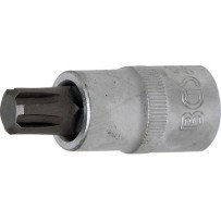 Llave de vaso 1/2 con punta Ribe Largo 55mm. R12