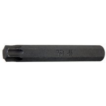 Torx longo 3/8", 10 mm. T55