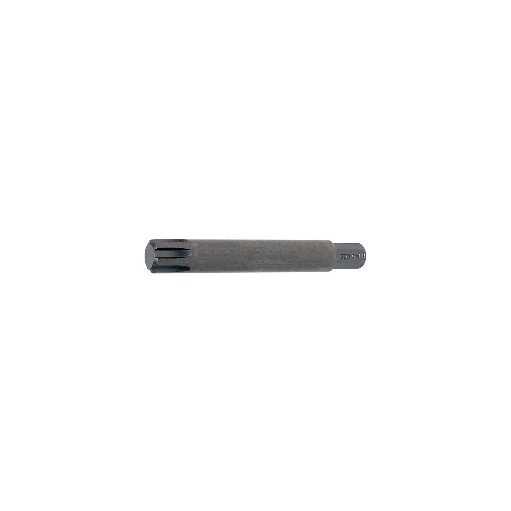Punta Ribe longo 3/8", 10 mm. RM14 Punta Ribe longo 3/8", 10 mm. RM14