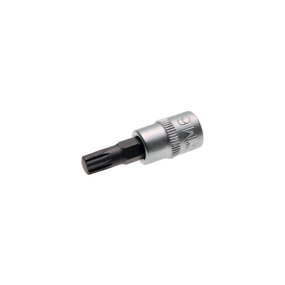 Llave de vaso 1/4 con punta XZN M6 Llave de vaso 1/4 con punta XZN M6