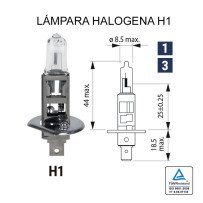 Lâmpada halógena H-1 12V 55W (P14.5S)