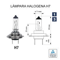 Lâmpada de halogéneo H-7 12V 55W (px26d)