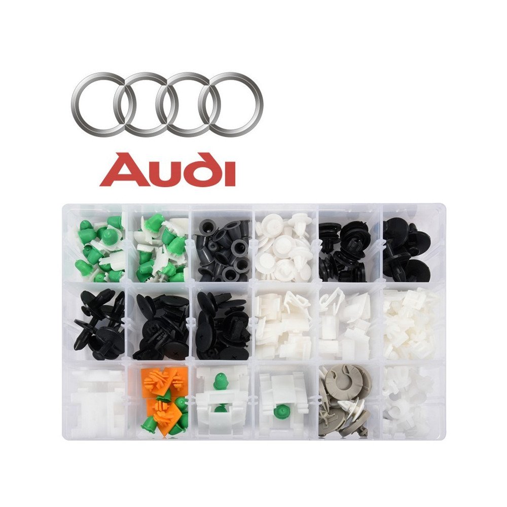 160 GRAMPOS VARIADOS PARA AUDI