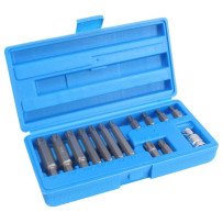 Conjunto de 13 pontos de Ribe