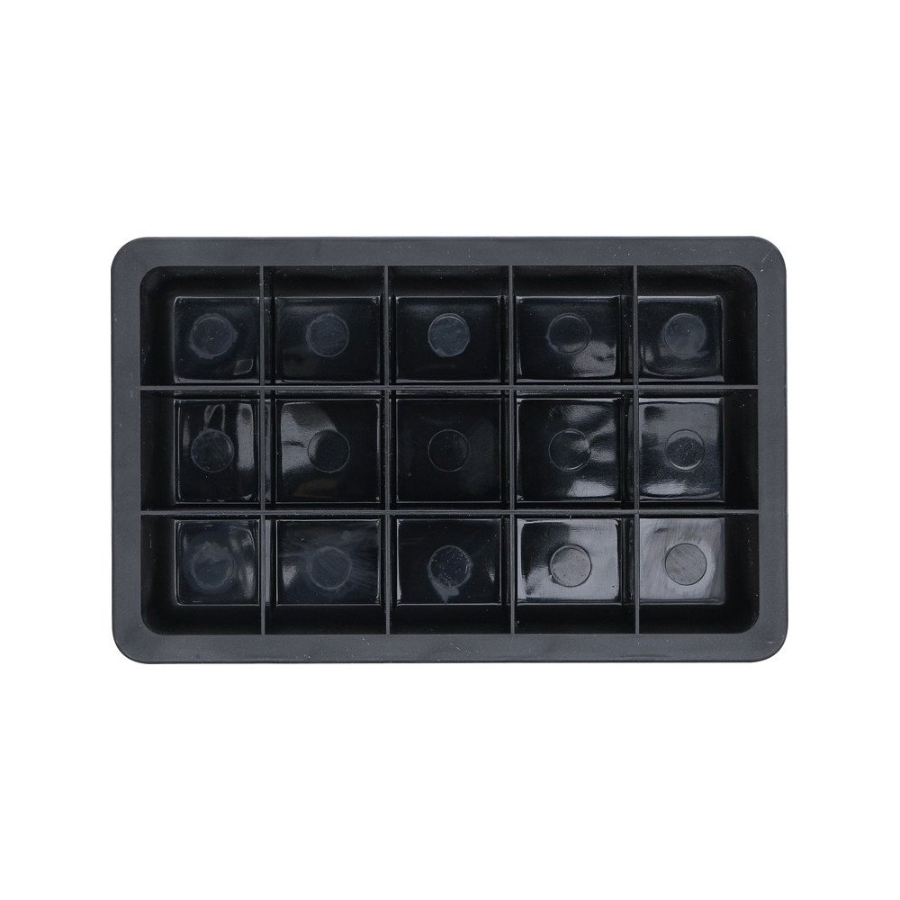 Bandeja magnética 15 compartimentos 120 x 190 mm BGS 67103???? Bandeja magnética 15 compartimentos 120 x 190 mm BGS 67103????