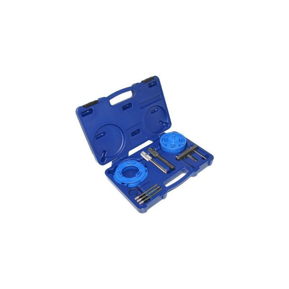 Juego de calado de distribución para Ford 2.0, 2.4 TDCi /TDDi