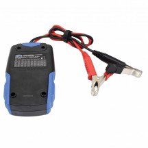 LCD 12/24V BATTERYER