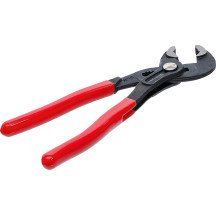 Papagaio Pico | Blockable | 175 mm