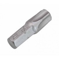 Punta Torx corta 1/4 8 mm. T50
