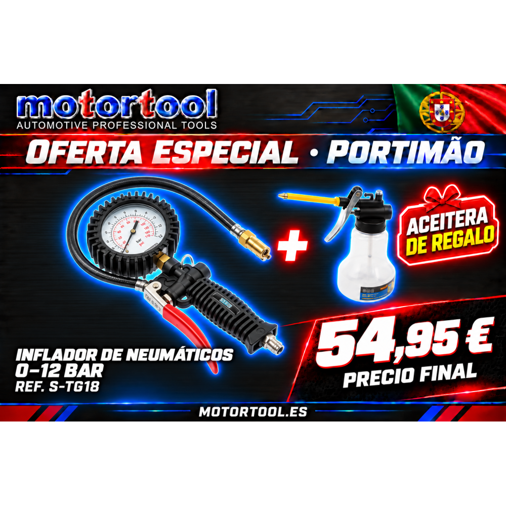 13 Inflador de Neumáticos Profesional con Manómetro 0–12 bar / PSI
