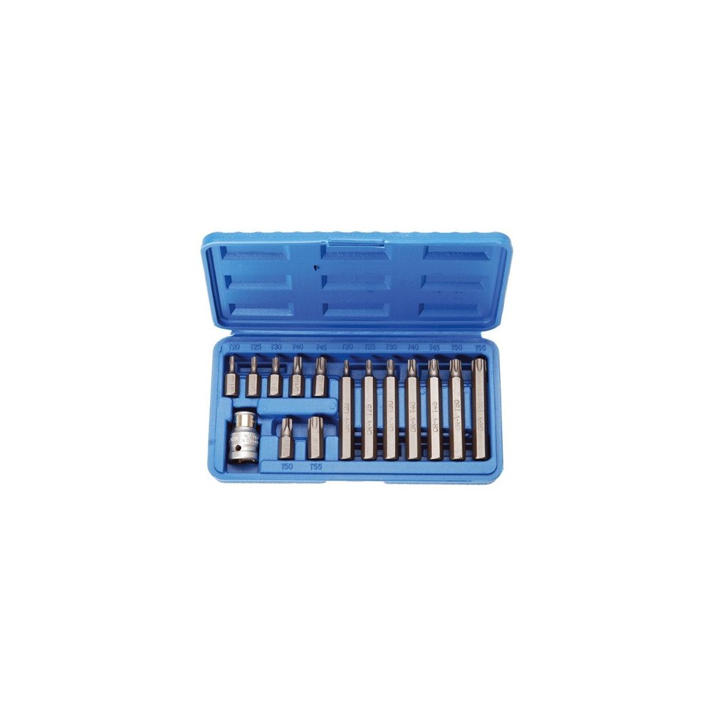 Conjunto de 15 peças de brocas Torx de 10 mm.
